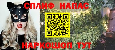 гашик Ливны