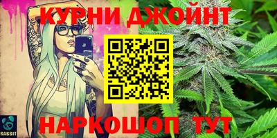 гашик Ливны