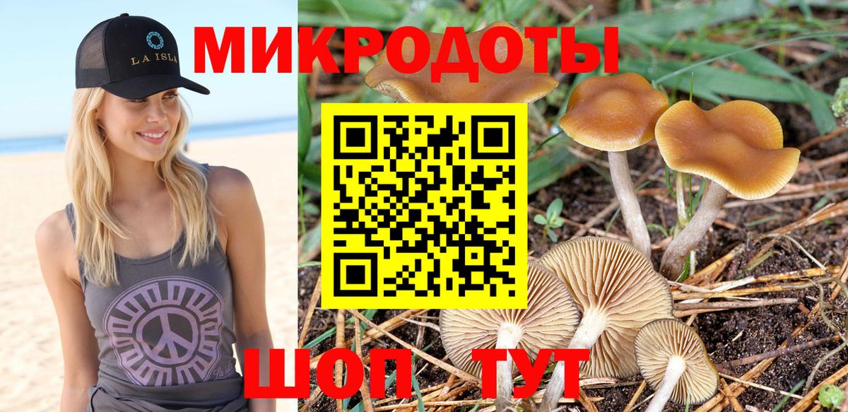 Псилоцибиновые грибы Psilocybine cubensis  Вход с VPN  Городец  Псилоцибиновые грибы Psilocybe 