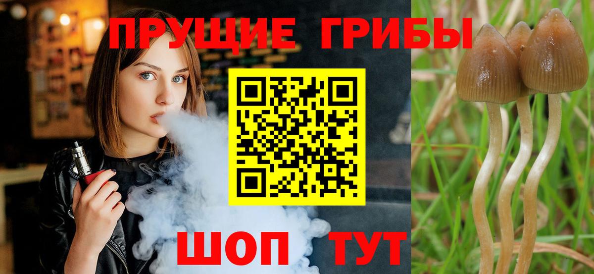 Галлюциногенные грибы мухоморы Городец
